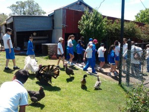 10556985_900853393260919_7445432686641833823_o